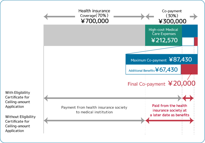 Example Image of High-cost Medical Care Expenses